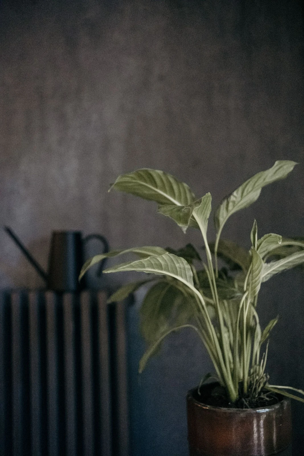 Référence de décoration 02