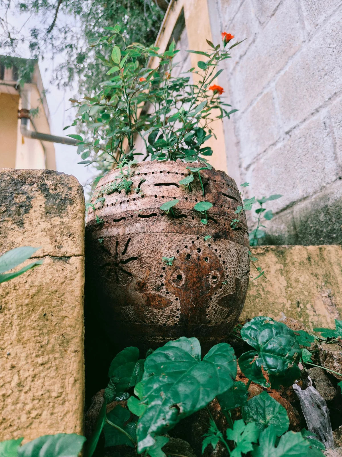 Référence de décoration 06
